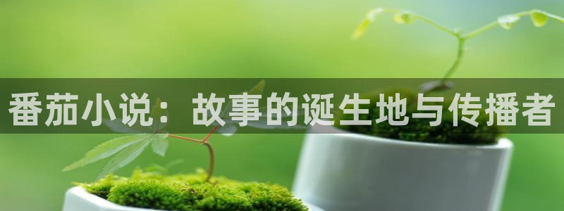 搜书吧 小说