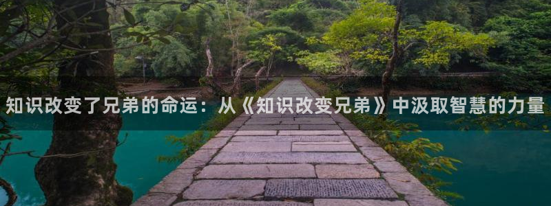 搜书吧2025年入口