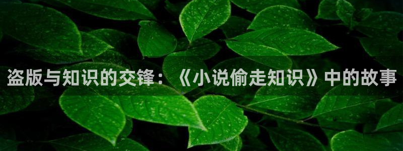 搜书吧soushu555